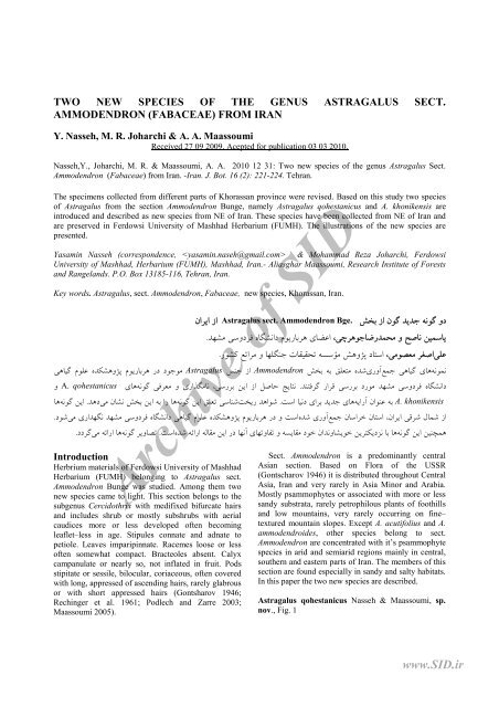 two new species of the genus astragalus sect. ammodendron
