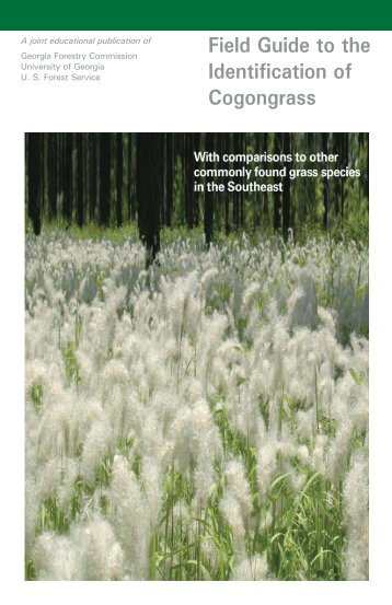 Field Guide to the Identification of Cogongrass - Georgia Forestry ...