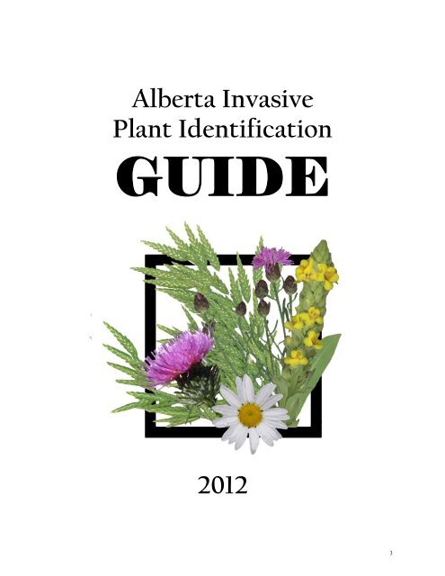 Alberta Invasive Plant Identification Guide