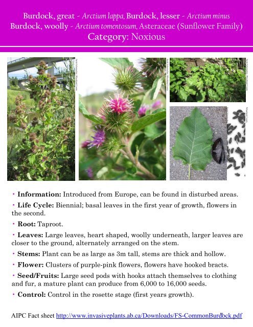 Alberta Invasive Plant Identification Guide