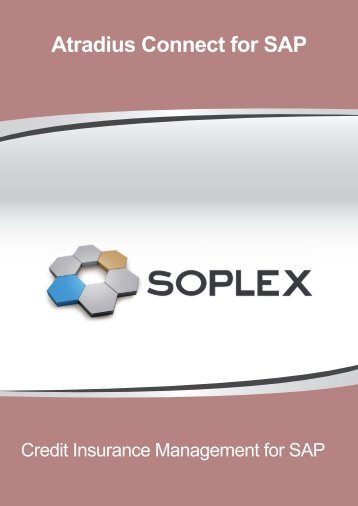 Download PDF - Soplex Consult GmbH