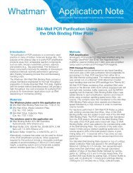 384-Well PCR Purification Using the DNA Binding - Whatman