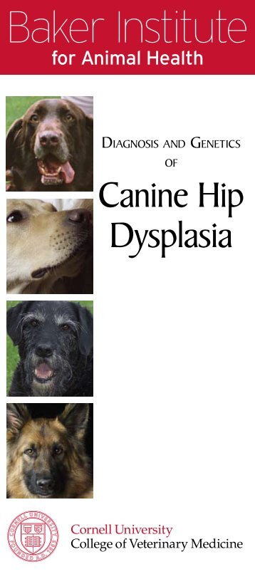 Brochure on Canine Hip Dysplasia - Baker Institute - Cornell University