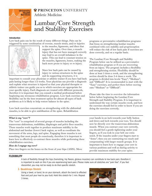 Core Stability Exercises - Physiotherapy - Treatments 