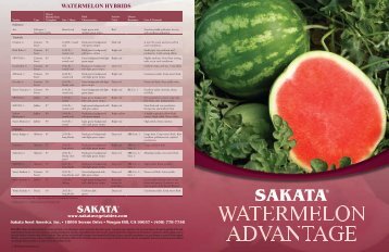 WATERMELON HYBRIDS - Sakata Vegetables