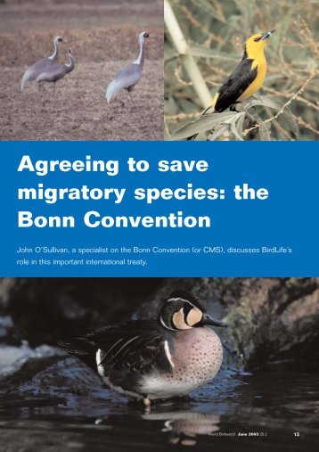 Agreeing to save migratory species: the Bonn Convention - BirdLife ...