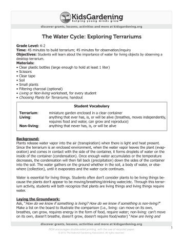 The Water Cycle: Exploring Terrariums - KidsGardening.com