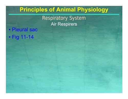 Principles of Animal Physiology