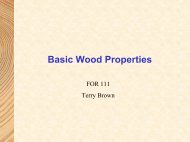 Basic Wood Properties