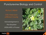 Puncturevine Biology and Control - Integrated Pest Management