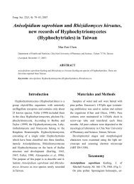 Anisolpidium saprobium and Rhizidiomyces hirsutus, new records of ...