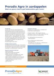 Proradix Agro in aardappelen - Sourcon Padena