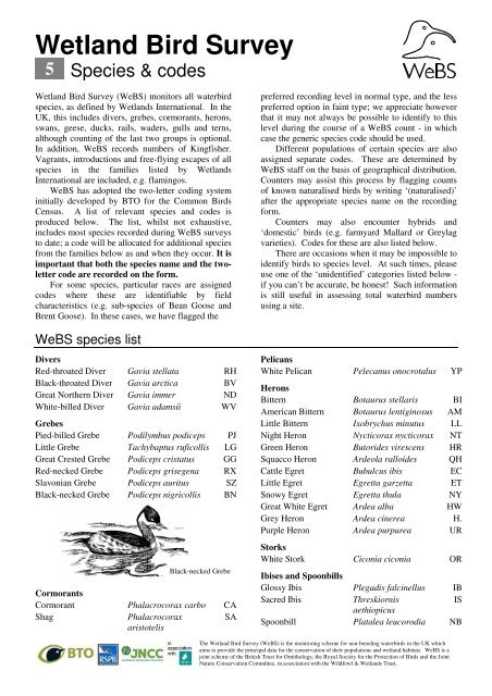 Red-flanked Bluetail  BTO - British Trust for Ornithology