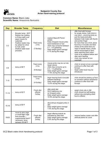 SCZ Black crake chick Handrearing protocol Page 1 of 3 Sedgwick ...