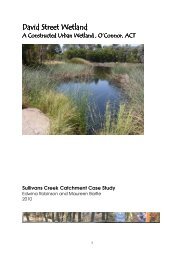 David St, O'Connor wetland - ACT Government