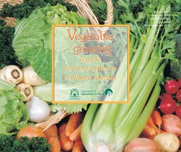 Vegetable growing Vegetable growing - Department of Agriculture ...