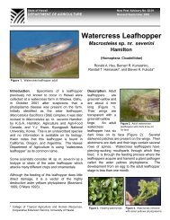 Watercress Leafhopper - Hawaii Department of Agriculture