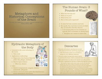 Metaphors and Historical Conceptions of the Brain