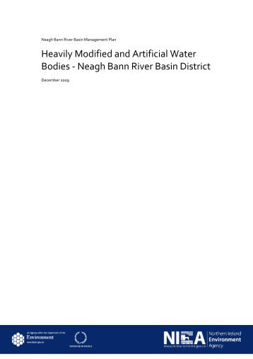 Heavily Modified and Artificial Water Bodies - Neagh Bann River ...