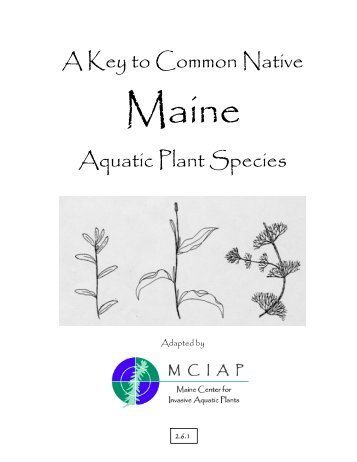 A Key to Common Native Aquatic Plant Species - VLMP Center for ...