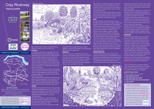 Cray Riverway walking leaflet - Bexley Council