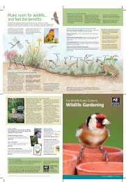 Wildlife Gardening Leaflet - Surrey Wildlife Trust