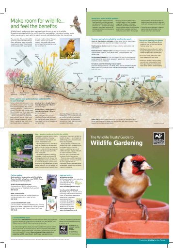 Wildlife Gardening Leaflet - Surrey Wildlife Trust