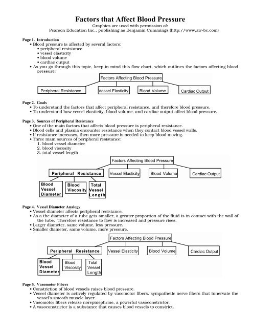 Blood Vessel Flow Chart