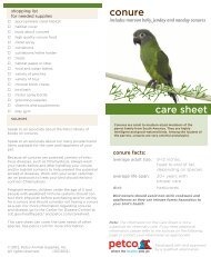sun conure petco