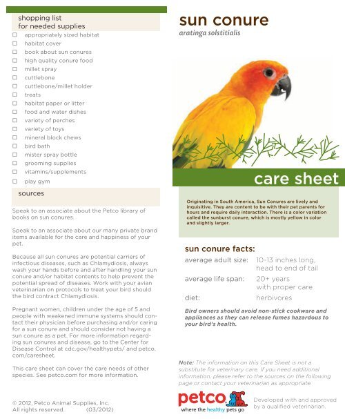 Sun Conure Care Sheet Petco