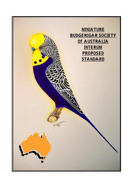saddleback budgie