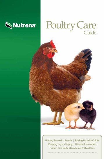 Download your copy of the Nutrena Poultry Care