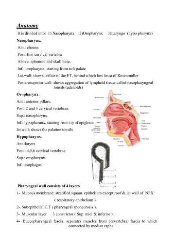 Complications of ventilation tubes: - Dr. Nassem Talaat