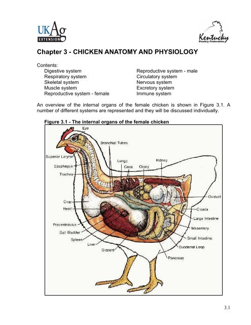 Chapter 3 - CHICKEN ANATOMY AND PHYSIOLOGY