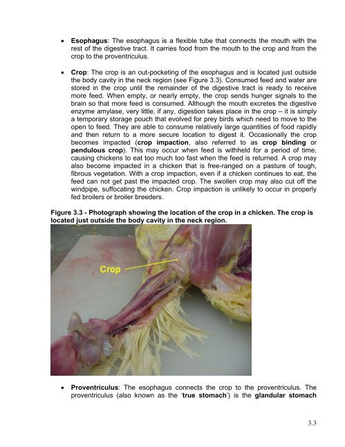 Chapter 3 - CHICKEN ANATOMY AND PHYSIOLOGY