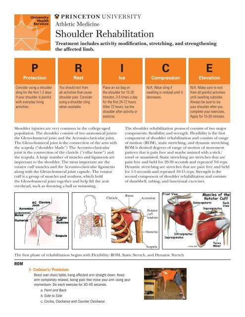 Shoulder Rehabilitation