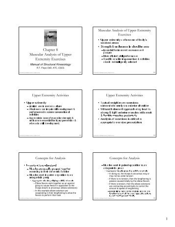 Chapter 8 Muscular Analysis of Upper Extremity Exercises