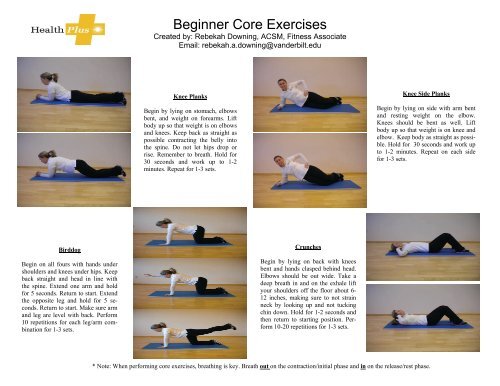 Beginner Core Exercises Health and Wellness