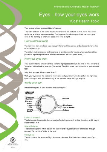 Eyes - how your eyes work