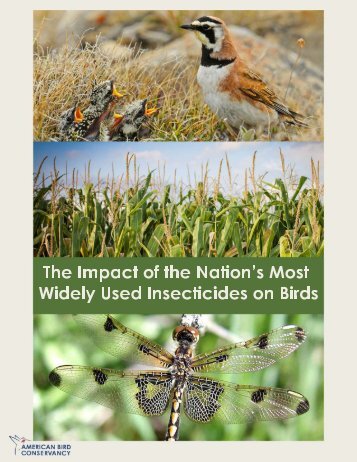 The Impact of the Nation’s Most Widely Used Insecticides on Birds
