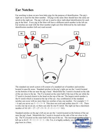 Reading Ear Notches - The Judging Connection .com