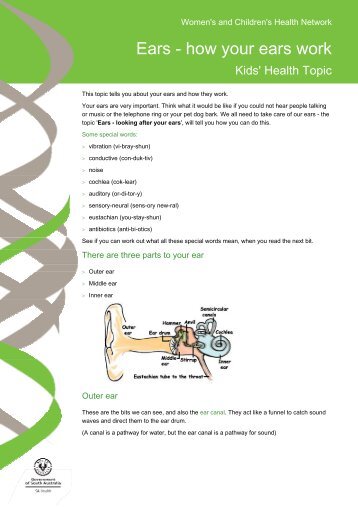 Ears - how your ears work