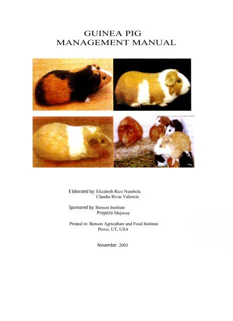 GUINEA PIG MANAGEMENT MANUAL - Benson Institute