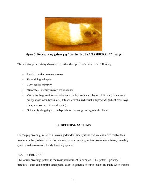 GUINEA PIG MANAGEMENT MANUAL - Benson Institute