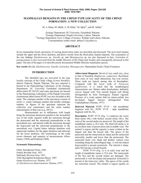 mammalian remains in the chinji type locality of - Journal of Animal ...