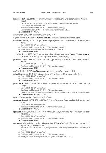 laevicolle LeConte, 1866: 375 (Amphichroum; Type locality ...