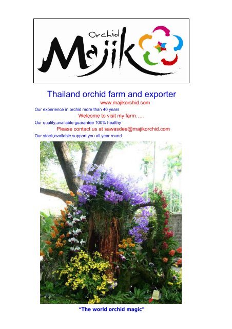 Thailand orchid farm and exporter - Majikorchid