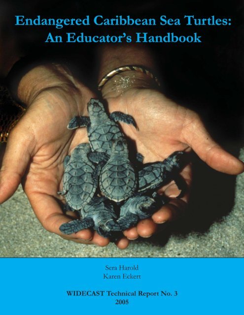 https://img.yumpu.com/11295258/1/500x640/endangered-caribbean-sea-turtles-an-educators-handbook.jpg