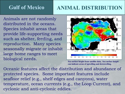 Protected Species in the Gulf of Mexico - NMFS' Southeast Region ...