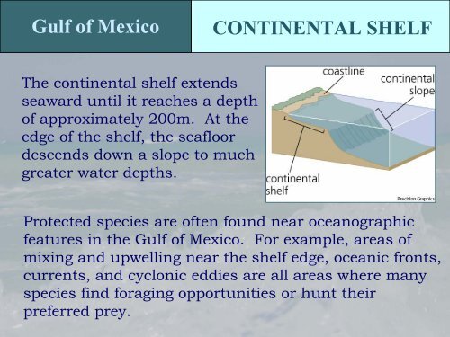 Protected Species in the Gulf of Mexico - NMFS' Southeast Region ...